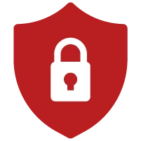 Zugangssicherheit Icon